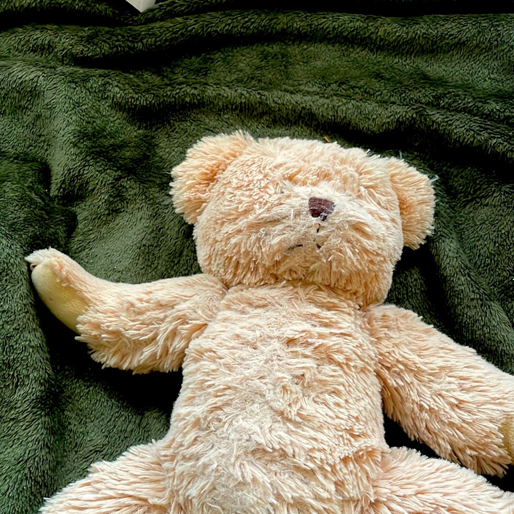 Cute teddy bear❤️
